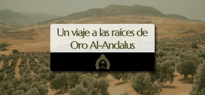 oro-al-andalus-viaje-raíces