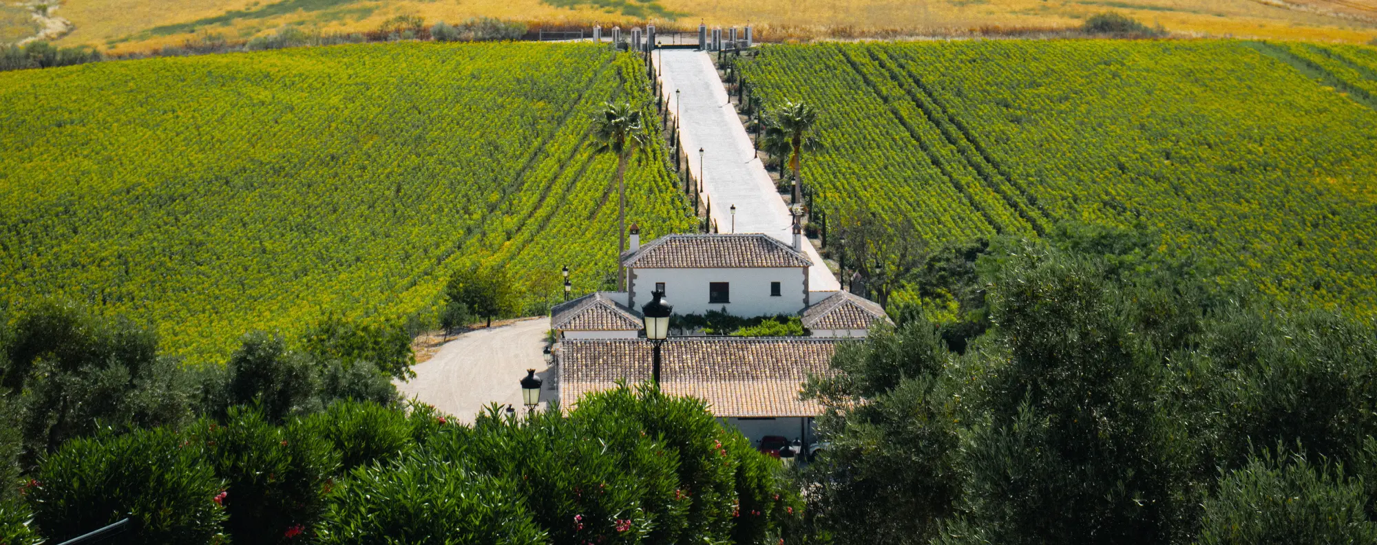 Finca Oro Al-Andalus en Primavera 