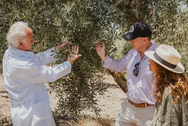 Finca Oro Al-Andalus muestra de olivos a Visitantes