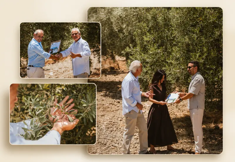 Apadrina un olivo en Finca oro Al-Andalus Entrega de diplomas acreditativo