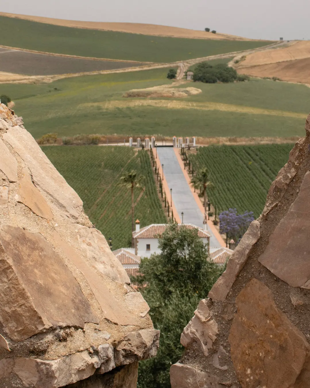 Vista desde el Torreón de Finca Oro Al-Andalus
