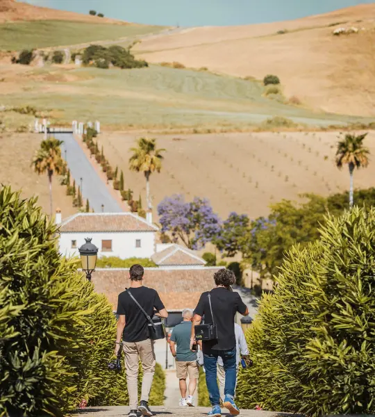 Visitas Guiadas a Finca de Olivos