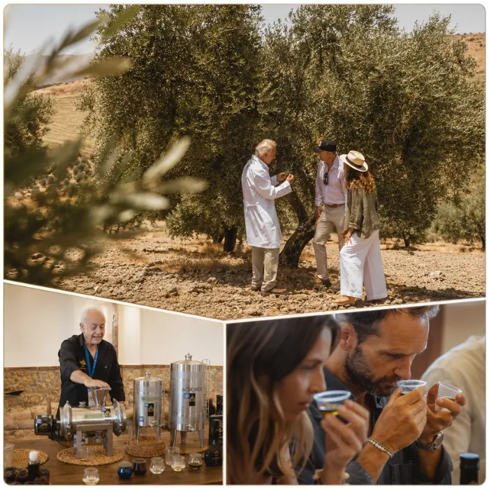 Visitas en finca oro Al-Andalus oleoturismo de la Serranía de Ronda