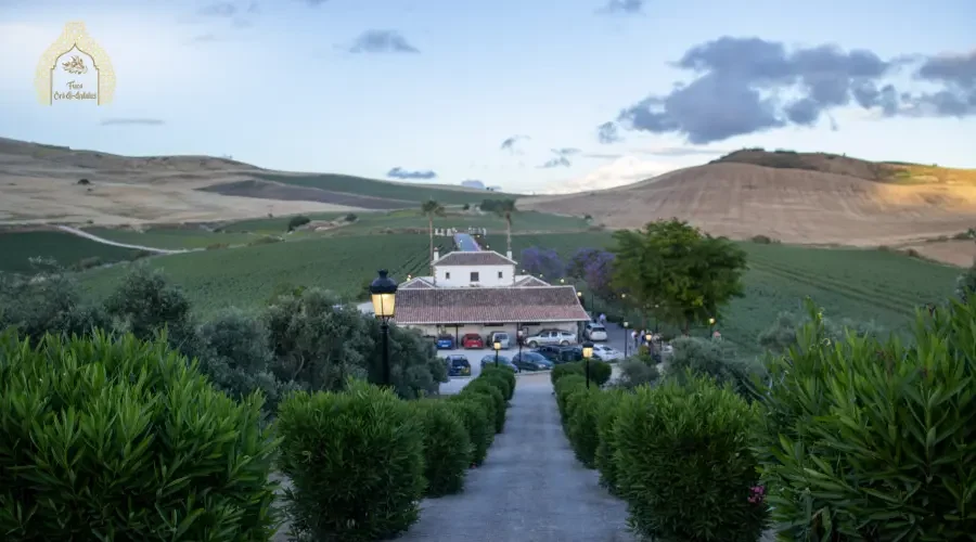 finca-oro-al-andalus-origen